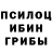 Псилоцибиновые грибы мицелий Natasa K